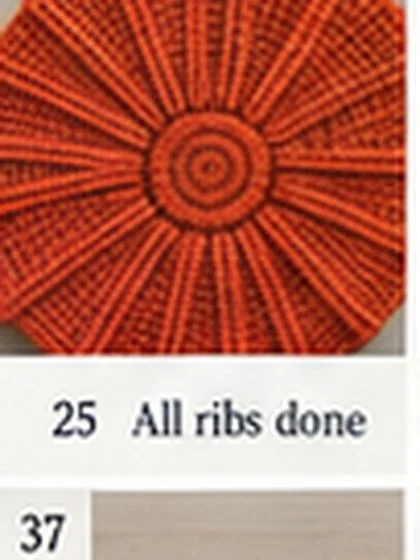 Spiral shell crochet handbag step 25: Make the second identical main panel.