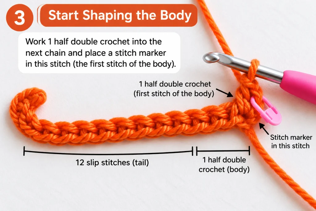Step 3_ Shaping the Crochet Body